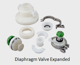 diaphragm